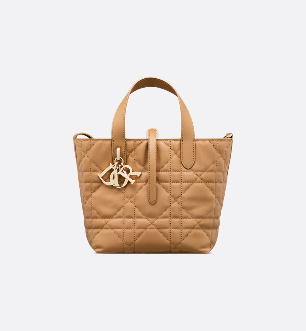 Small Dior Toujours Vertical Tote Bag